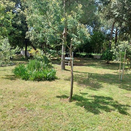 Sweet Apartment Rovinj Ngoại thất bức ảnh