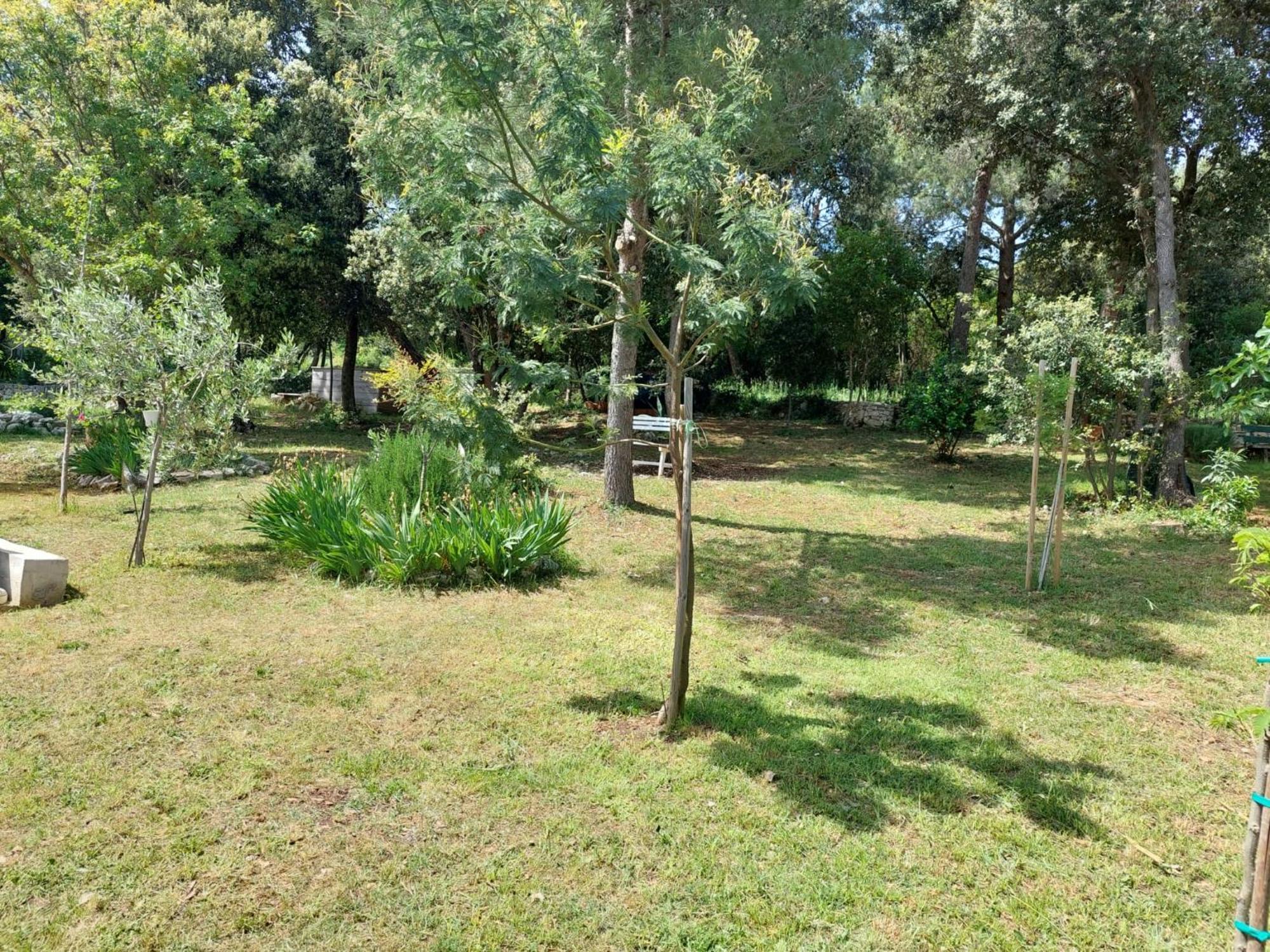 Sweet Apartment Rovinj Ngoại thất bức ảnh